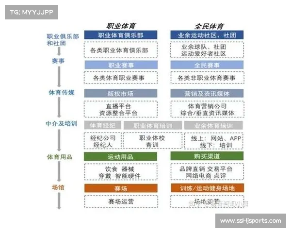 内容产业与职业体育协同发展，相互促进价值提升