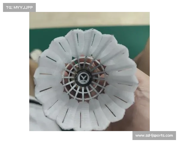 羽毛球器材商推出新款比赛用球,称其飞行稳定性提升 羽毛球器材商推出新款比赛用球,称其飞行稳定性提升